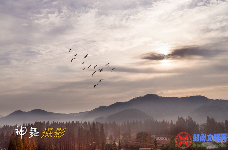 DSC07064_副本.jpg