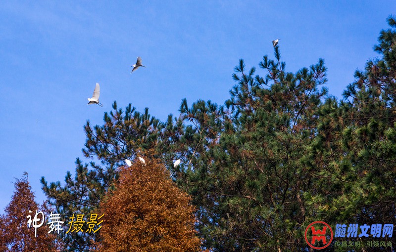 DSC07087_副本.jpg
