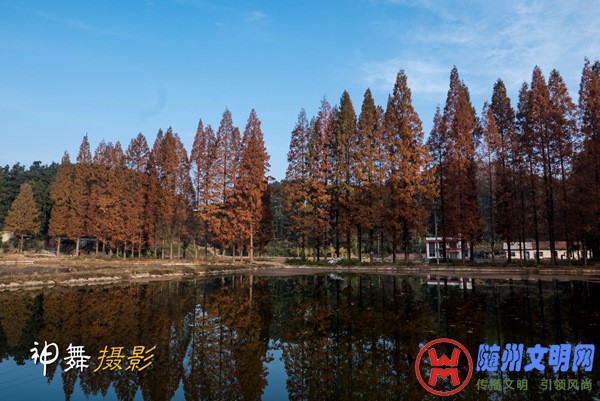 P1120647_副本.jpg
