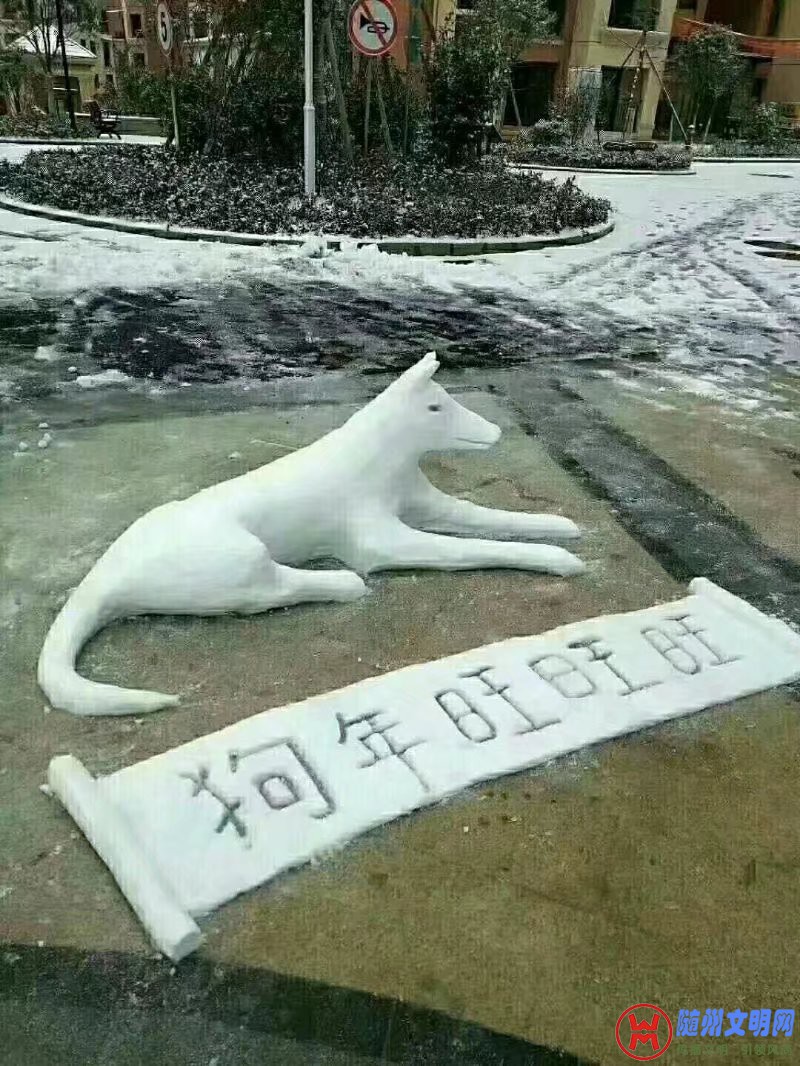 .jpg