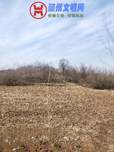 IMG20180223132621.jpg