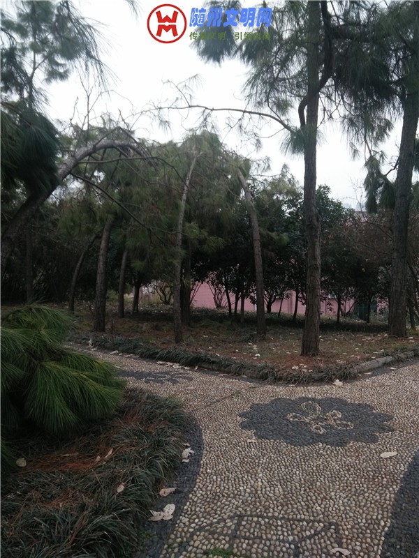 IMG20180221160114_.jpg