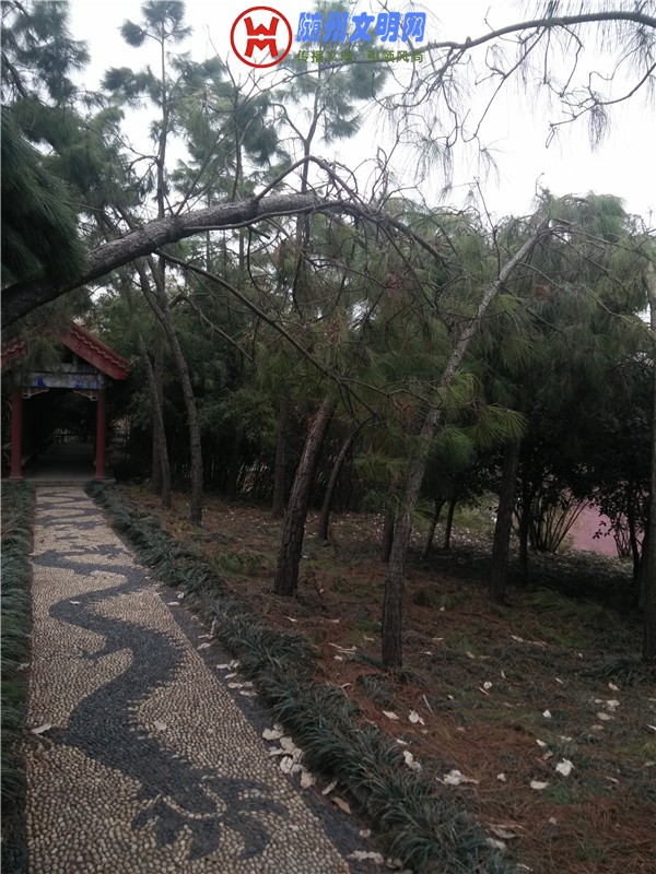 IMG20180221160120_.jpg