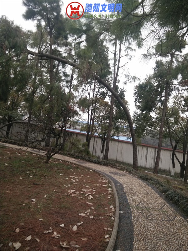 IMG20180221160141_.jpg
