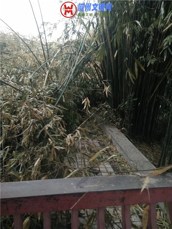 IMG20180221160948_.jpg
