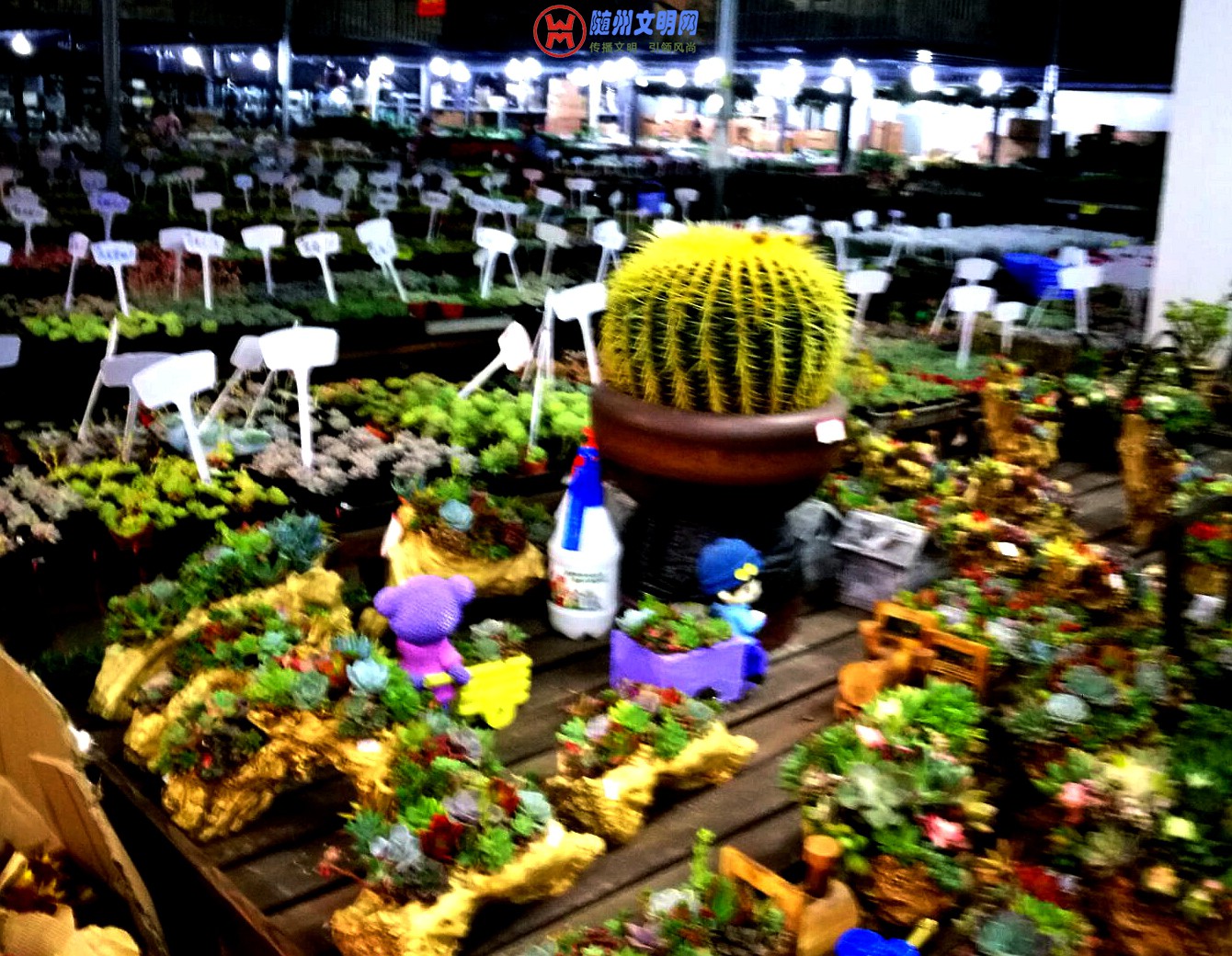 QQͼƬ20180320225731.jpg