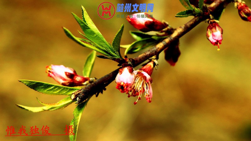 conew_157_conew1.jpg
