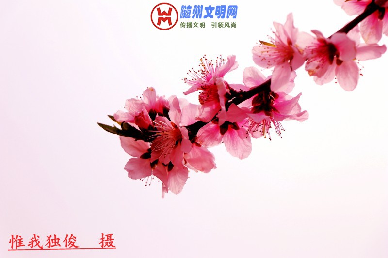 conew_262_conew1.jpg
