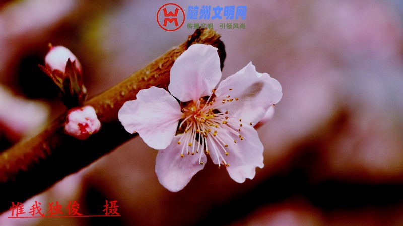 conew_280_conew1.jpg