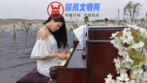 mmexport1521962223826.jpg