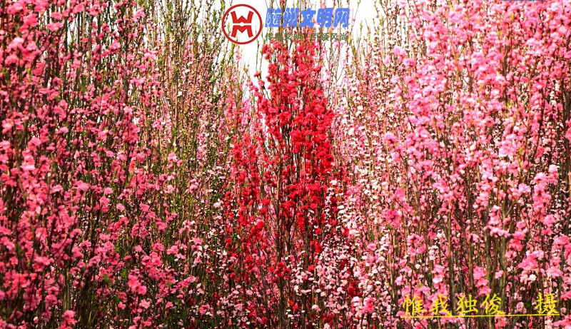 conew_微信图片_20180325202014.jpg