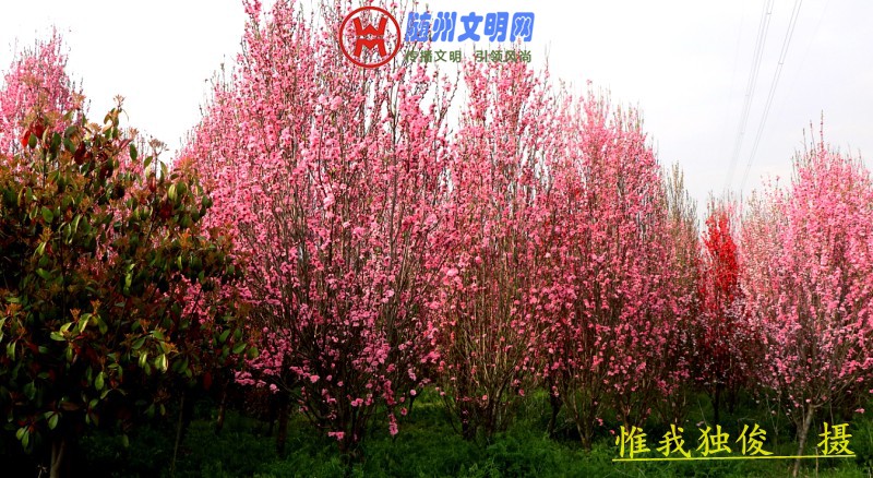 conew_微信图片_20180325202023.jpg