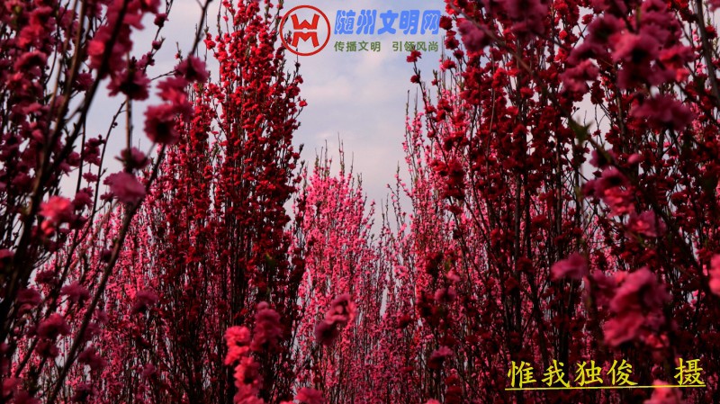 conew_微信图片_20180325202027.jpg