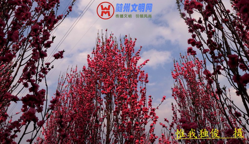 conew_微信图片_20180325202034.jpg