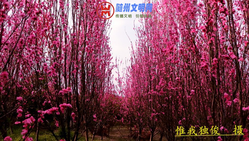 conew_微信图片_20180325202037.jpg