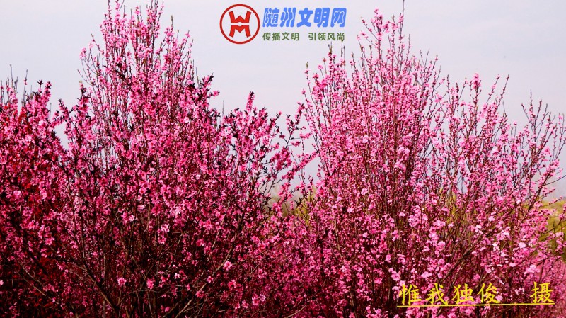conew_微信图片_20180325202047.jpg
