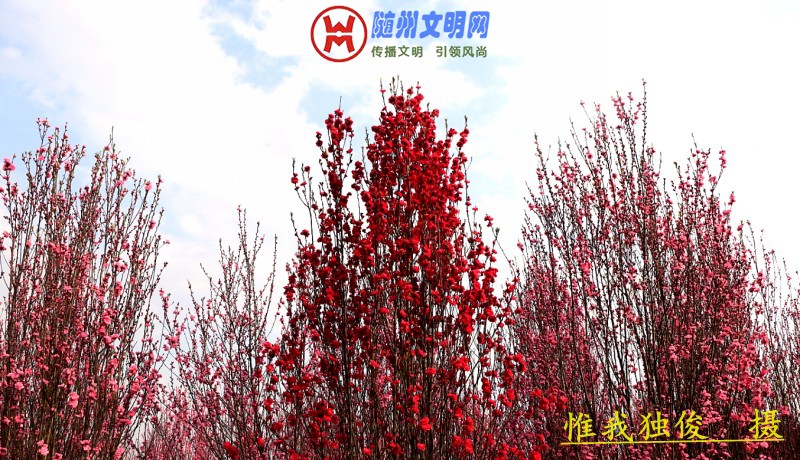 conew_微信图片_20180325202051.jpg