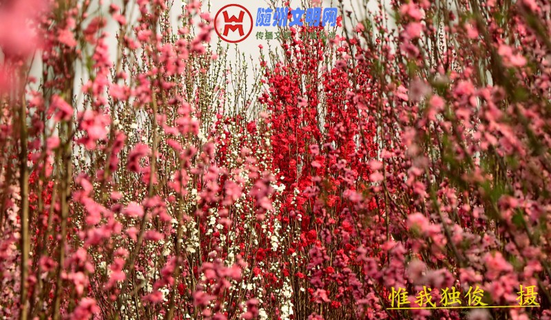 conew_微信图片_20180325202054.jpg