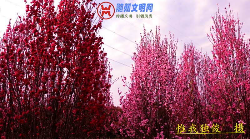 conew_微信图片_20180325202100.jpg