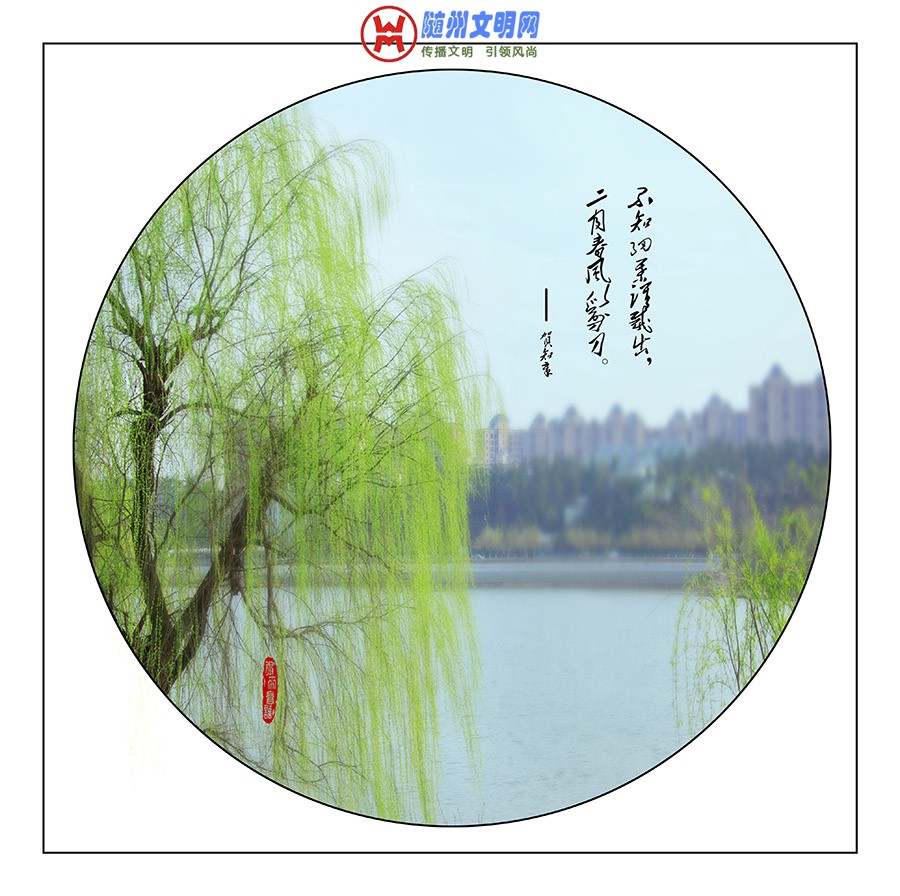 0E0A2636副本2.jpg