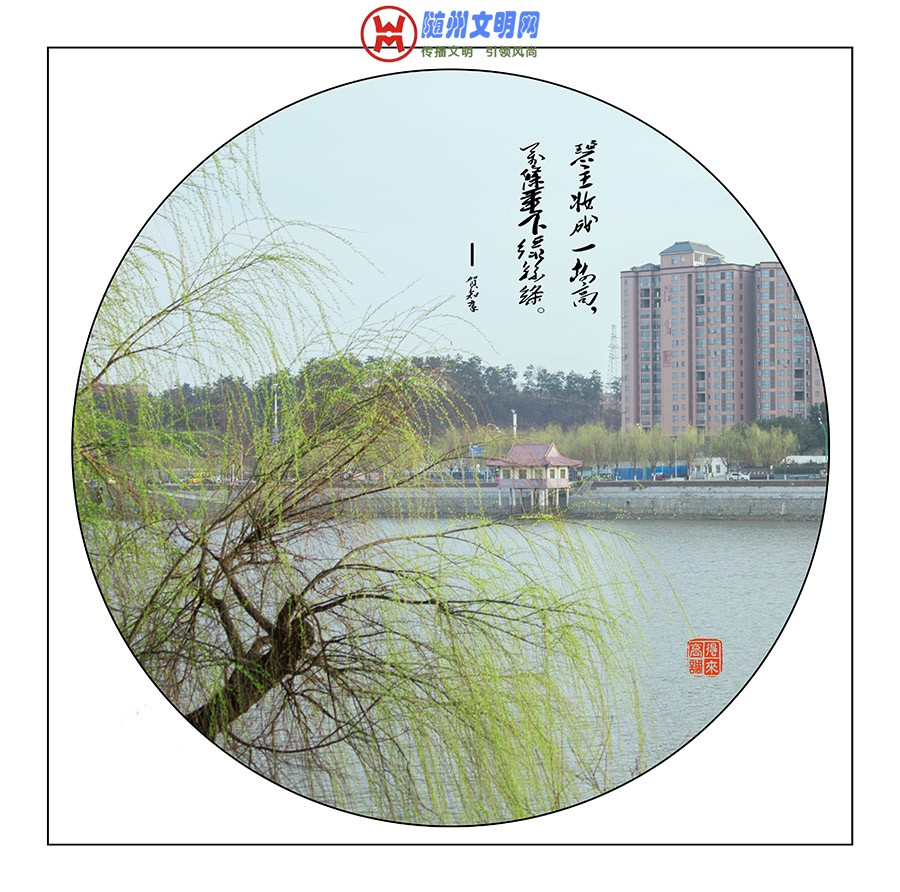 0E0A2703.jpg