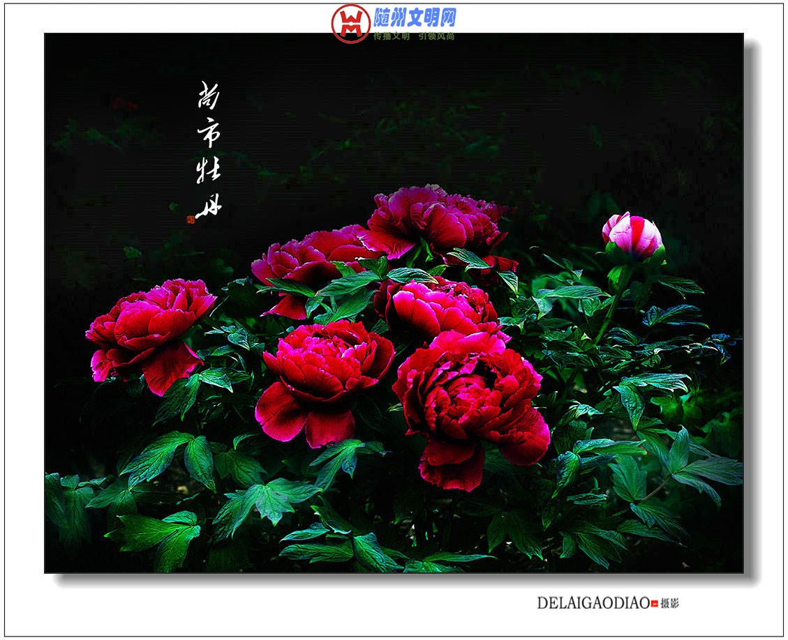 IMG_6841.jpg