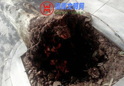 f318d523ae76baf.jpg