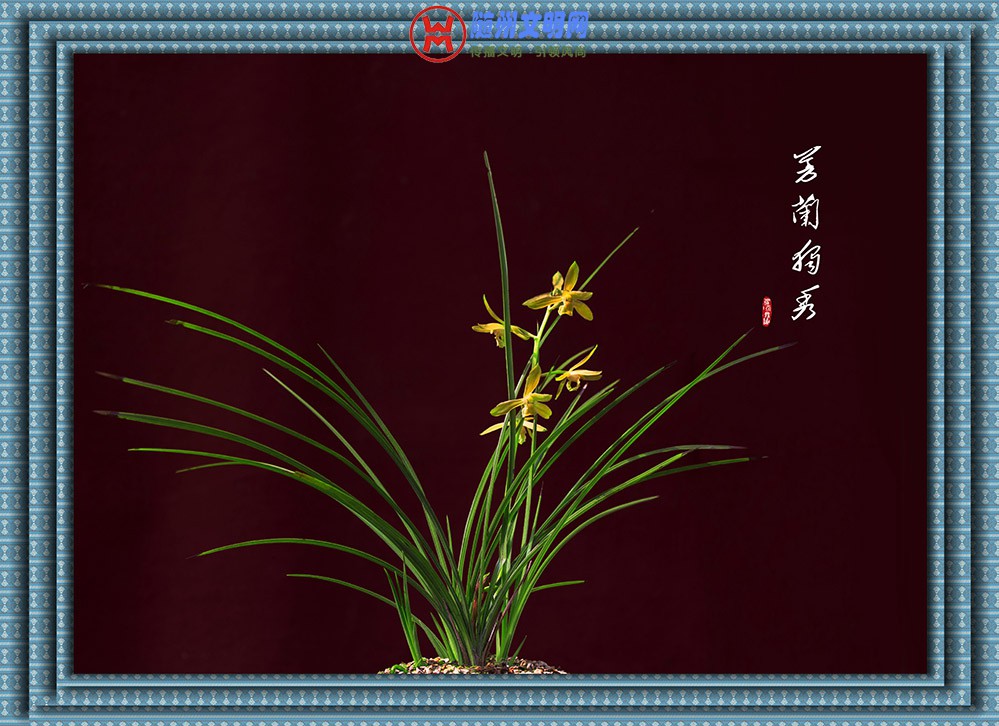 OR8A3653.jpg