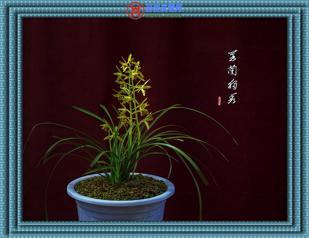 OR8A3659.jpg