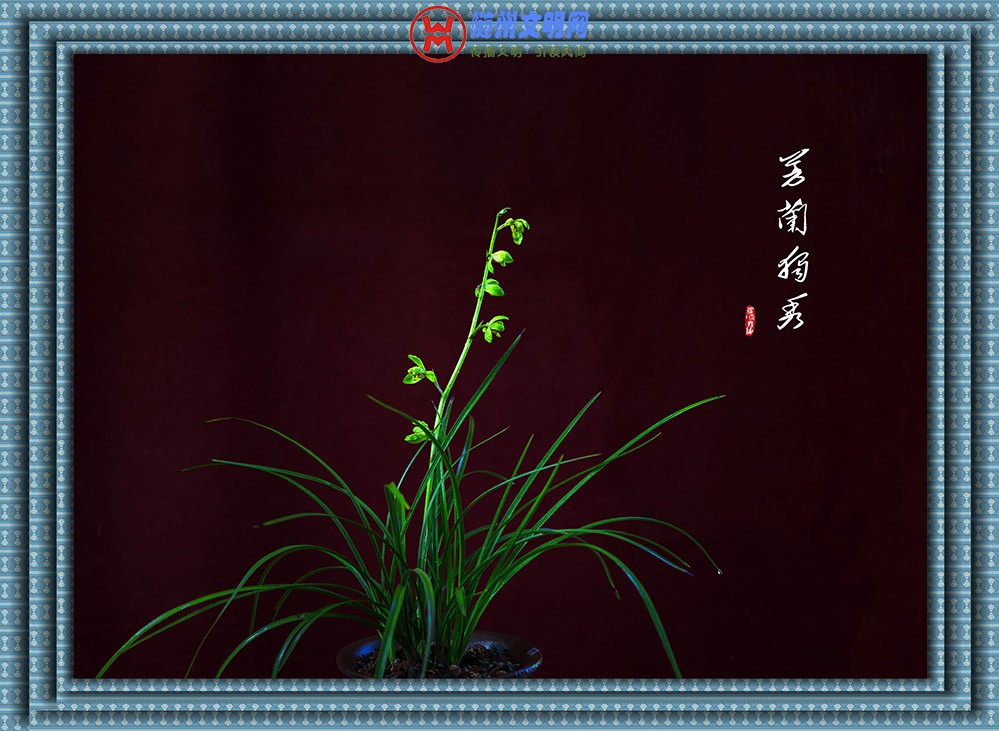 OR8A3678.jpg