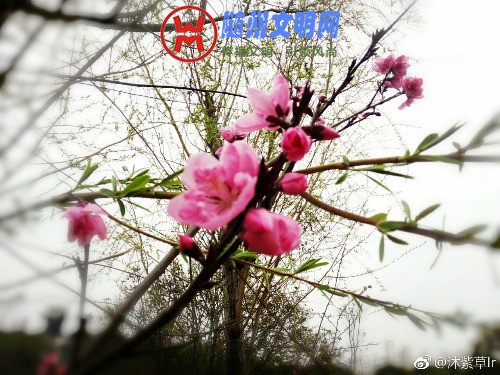 img-79ad8367484f94abead5a54a64c54833.jpg