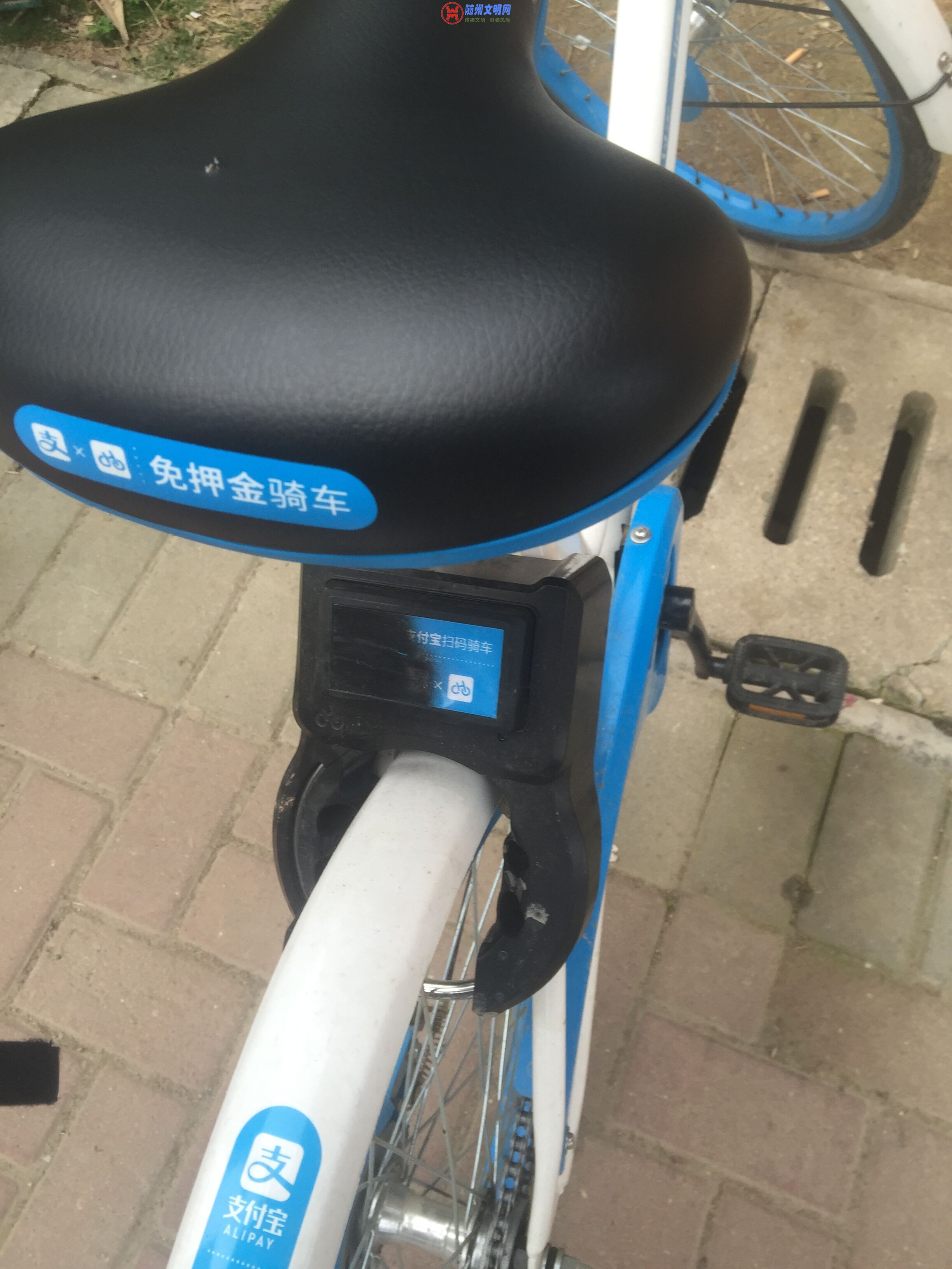 QQͼƬ20180503102920.jpg