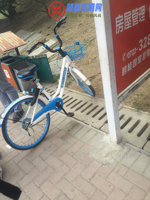 QQͼƬ20180503102931.jpg