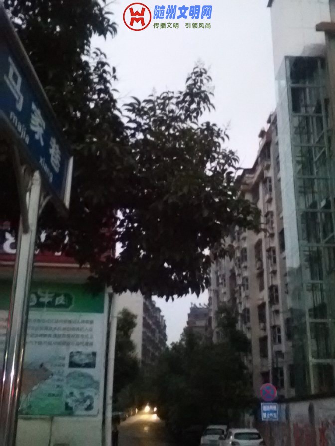 ӵĵ.jpg