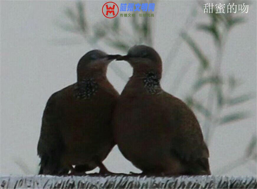 QQ图片20180512153253.jpg