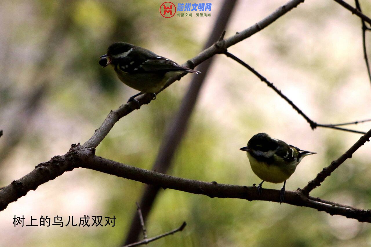 QQ图片20180512153306.jpg