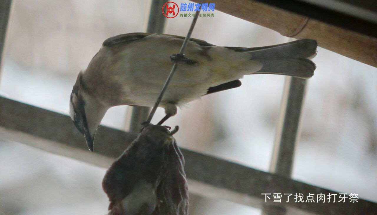 QQ图片20180512153318.jpg