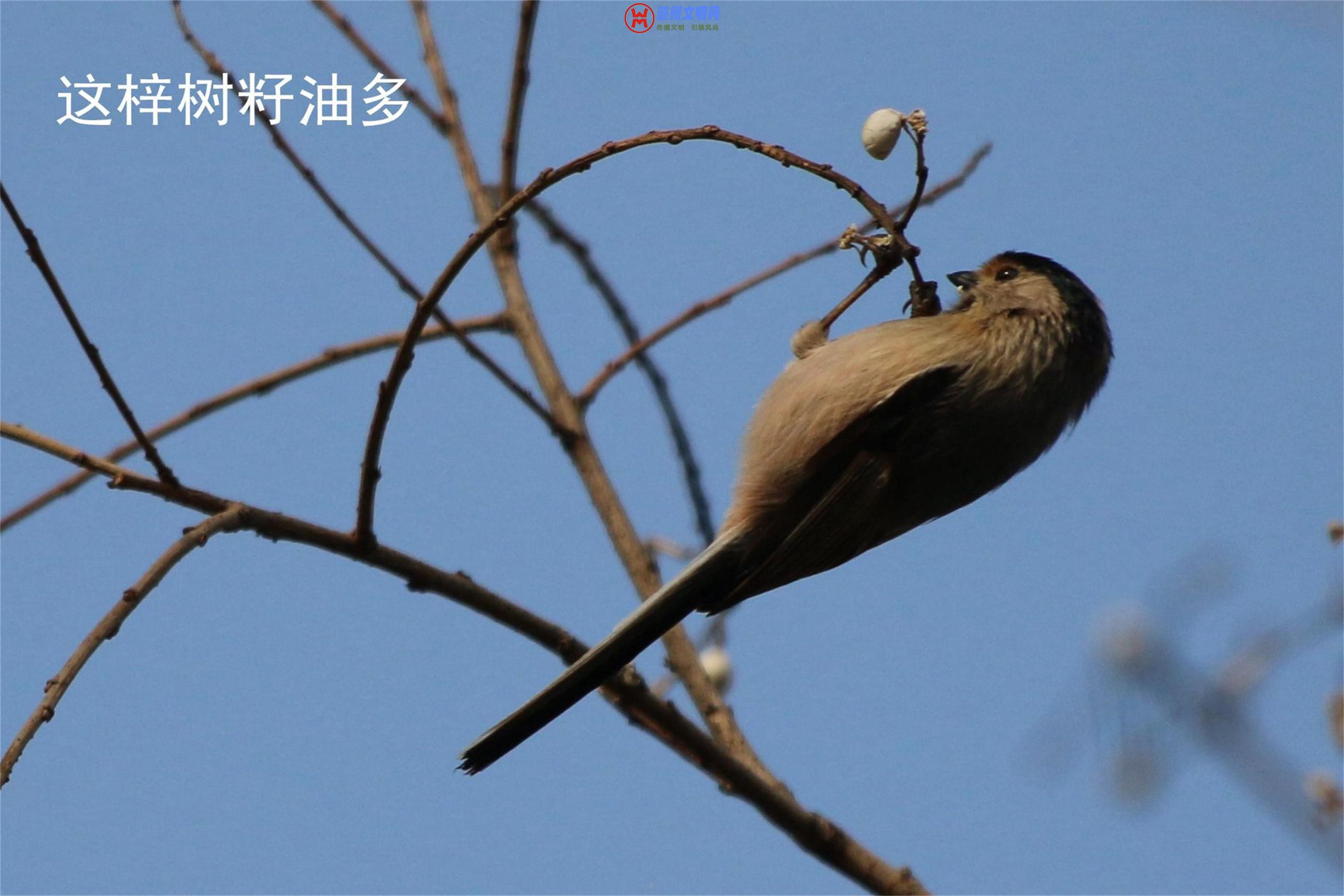 QQ图片20180512153332.jpg