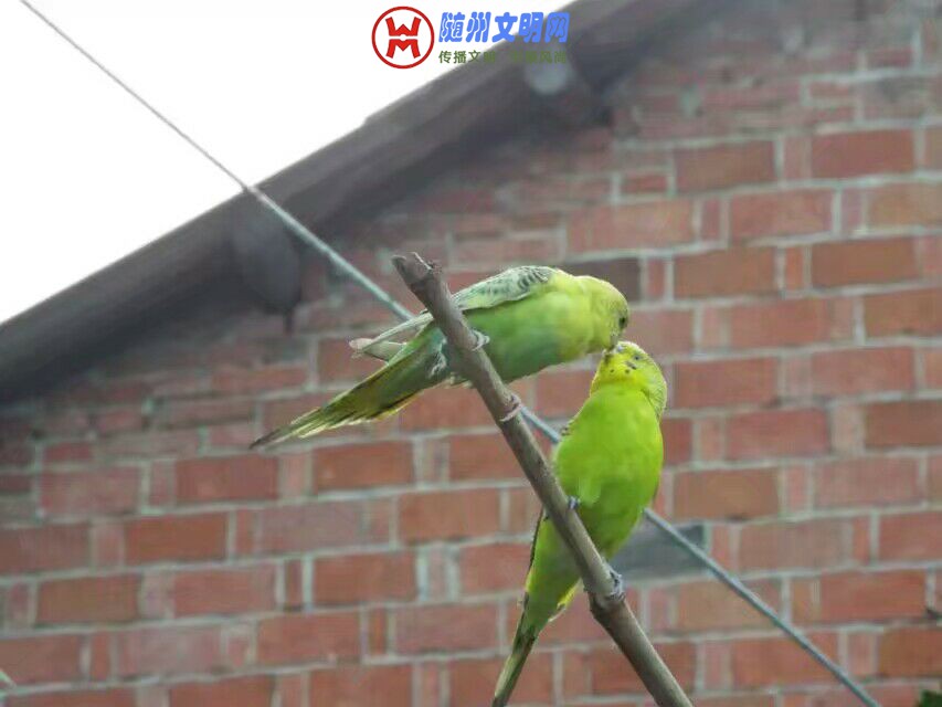 QQ图片20180512153352.jpg