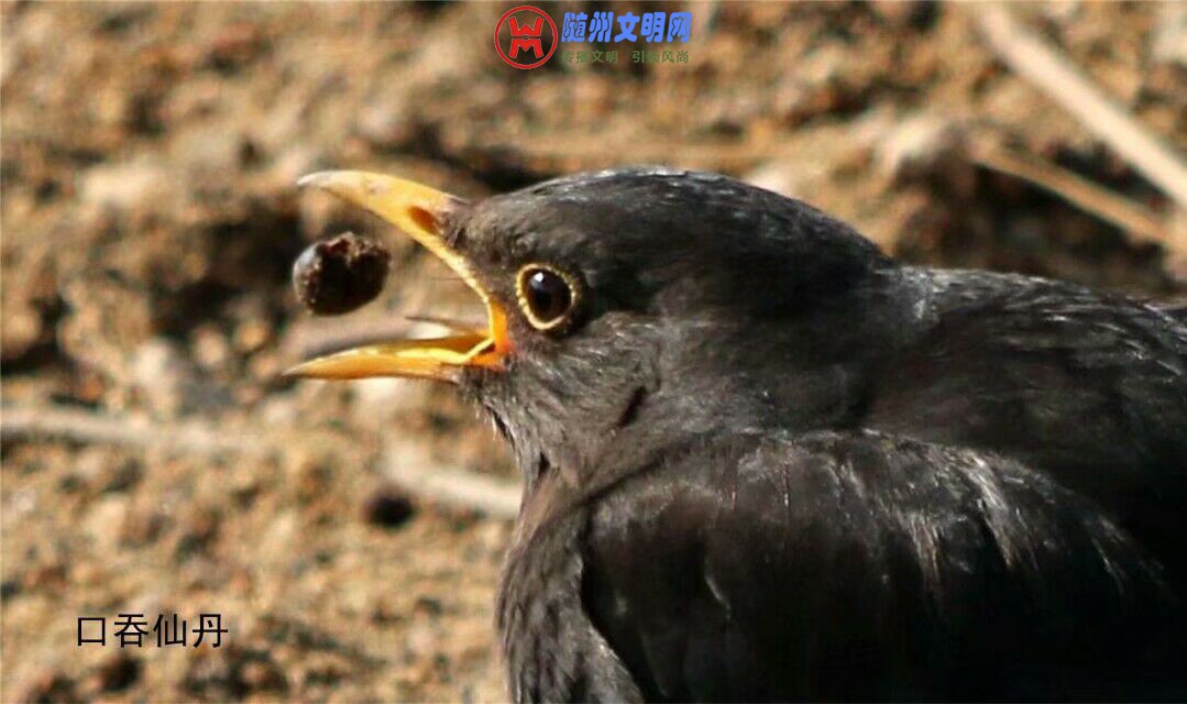 QQ图片20180512153421.jpg