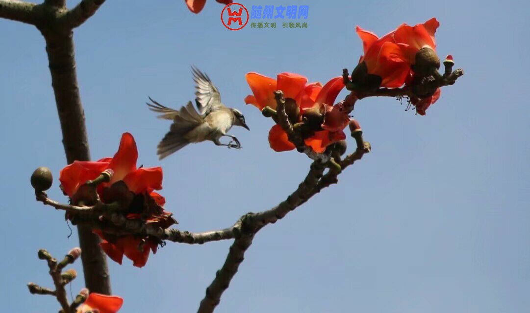 QQ图片20180512153433.jpg