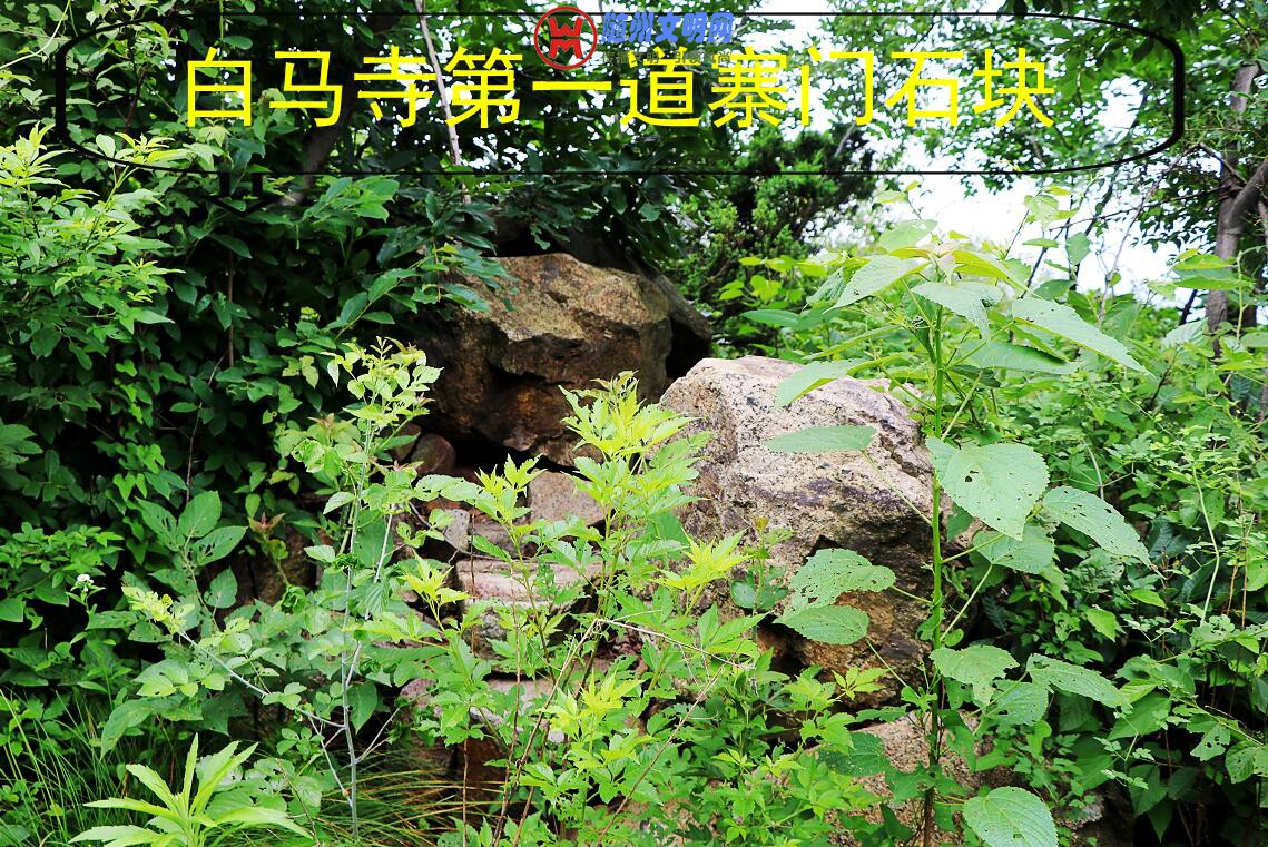 TIMͼ20180606091203.jpg