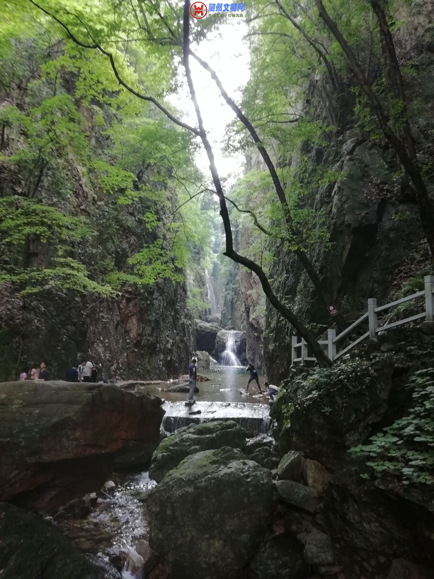 QQͼƬ20180614101943.jpg