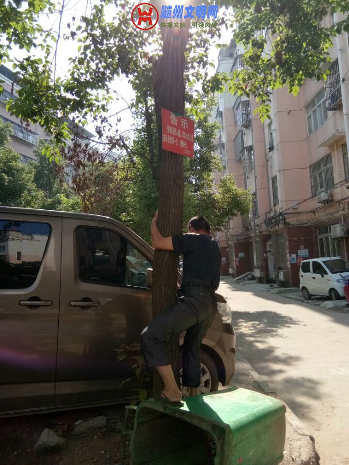 QQͼƬ20180614154902.jpg