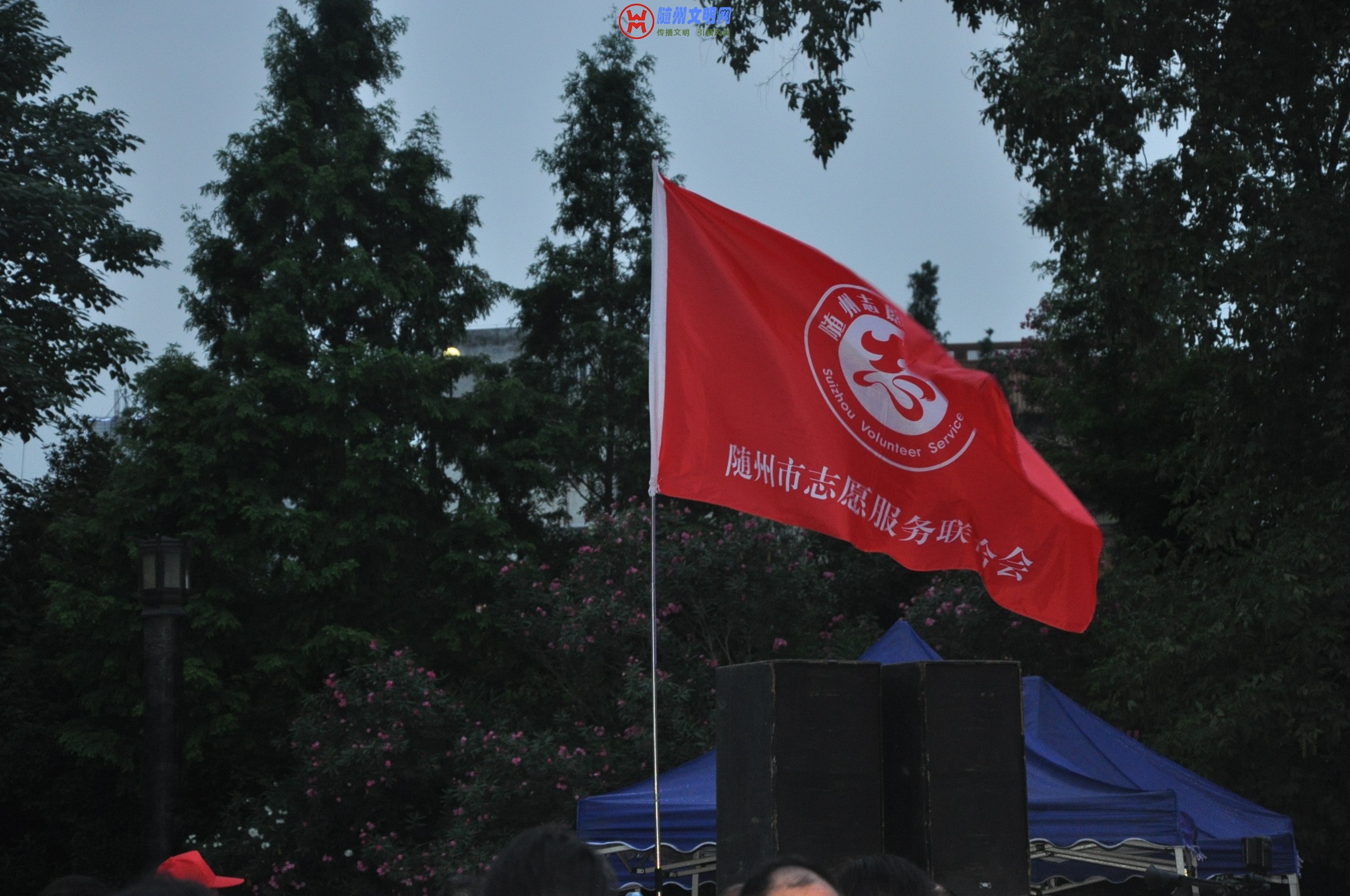 DSC_0222.JPG