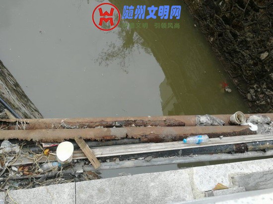 ӵˮŲг3.jpg
