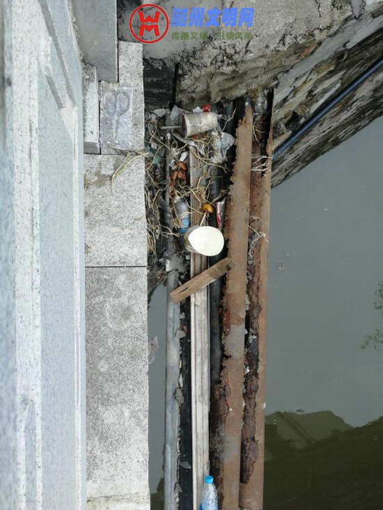 ӵˮŲг4.jpg