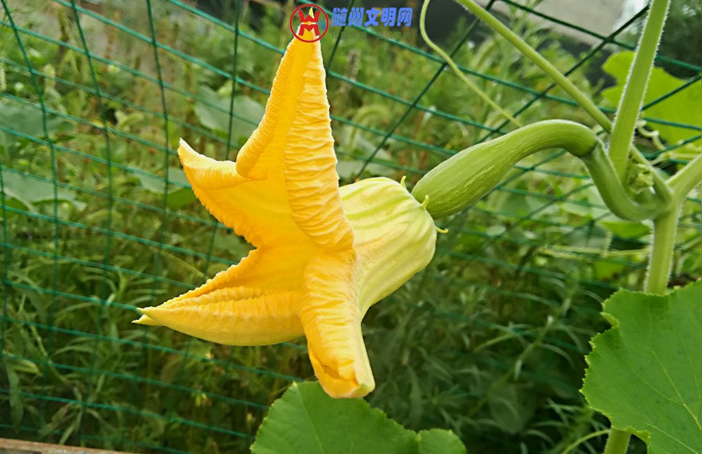 IMG_20180707_131610_1.jpg