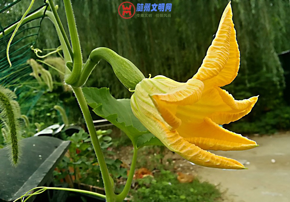IMG_20180707_131641.jpg