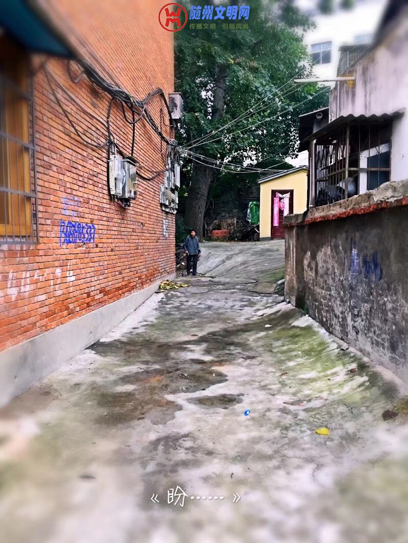 2983C0D4-61A1-4F6A-89EC-F2A29F325320.jpeg